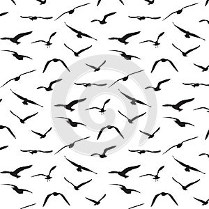 Seagull silhouette pattern background photo