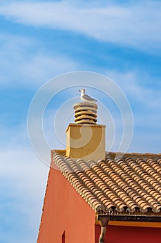 Seagull sits on a chimney on a roof against a blue sky with white clouds