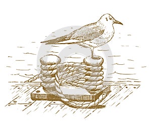 Seagull sitting on a bollard drawn by hand