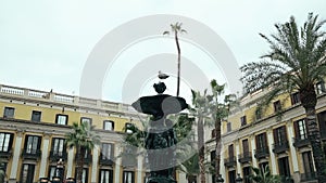 Seagull is Sitting on The Fountain Place Reial