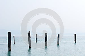 A seagull is sitting on one of the wooden bitts on Lake Garda