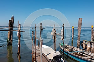 Pellestrina - Seagull sitting on wooden pole in city of Venice, Veneto, Northern Italy, Europe.