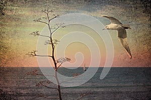 Seagull soars in the sky colored with the setting sun light. Sailboat floats on the horizon. Vintage style image