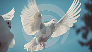 The seagull spread wings symbolize freedom and spirituality in nature generated by AI