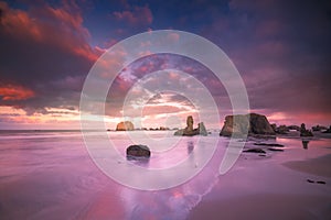 Seagull standing on beach with seastacks and colorful clouds