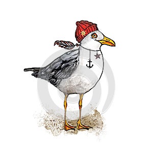 Seagull stands on sand. Cute hand-drawn seagull in a red cap and with a feather ,a star and an anchor on a neck. photo