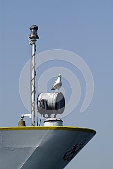 Seagull on stern of ship