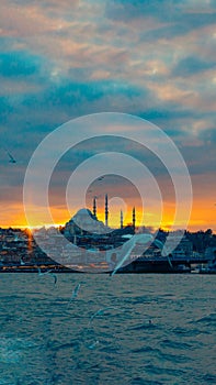 Seagull and Suleymaniye Mosque view at sunset. Istanbul vertical photo