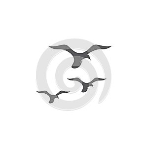 seagull  symbol and icon photo