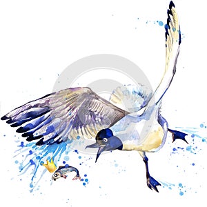 Seagull T-shirt graphics. seagull illustration with splash watercolor textured background. unusual illustration watercolor seagul