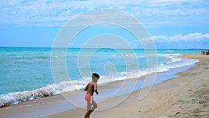 Seagull is walking along the seashore, ocean. Sea is storming, an unrecognizable boy walking along the shore.