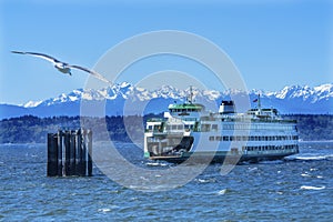 Seagull Washington State Ferry Boat Olympic Mountain Range Edmonds Washington photo