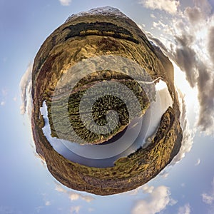 Seagull watching the blue ocean