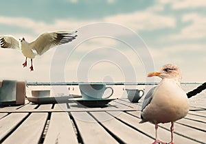 Seagull on wooden table at beach restaurant and cup of coffee blue sky and sea water on horizon summer  backgroun