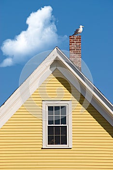 Seagull on yellow gable