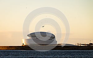 Seagulls Above Cruise Terminal photo