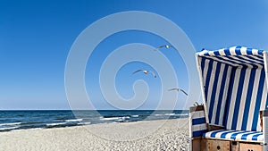 Seagulls, beach and a beach chair