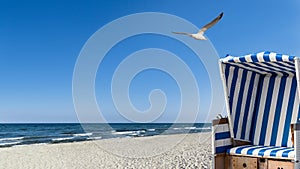 Seagulls, beach and a beach chair