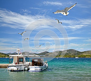 Seagulls and boats in Nature park Telascica.Croatia.