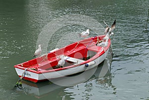 Seagulls on a fishing boat in Mundaka. Urdaibai Biosphere Reserve, Basque Country, Spain