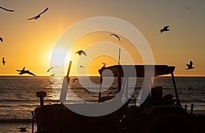 Seagulls fly over the sea at sunset - a tractor that helps in fishing stands on the shore