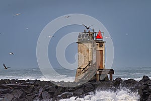 Seagulls flying around a jetty with a foghorn at the Oregon Coast.