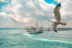 Seagulls flying in front of passenger ferry | Vapur sailing in the bosphorus in a cloudy day in Istanbul. Ferry very popular and photo