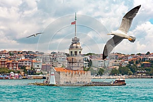 Seagulls flying near the historical Maiden`s Tower I Kiz Kulesi symbol of Istanbul located in Uskudar Salacak. Cityscape on the b photo