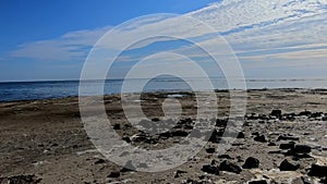 Seagulls flying over Dutch Waddenzee coastline