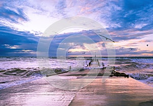 Seagulls flying over large waves crushing on small jetty.