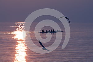 Seagulls Flying over Rowing Team Training over Shimmering Lake at Sunset