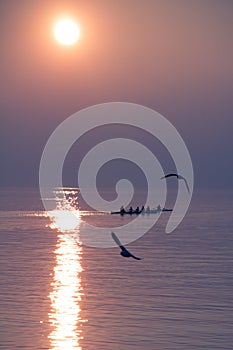 Gabbiani volare Attraverso canottaggio un gruppo formazione Attraverso scintillante sul tramonto 