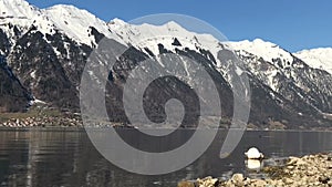 Seagulls Flying At The Shore Of Lake Brienz