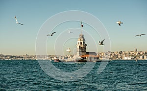 Seagulls flying in sky around the Maiden tower in Istanbul