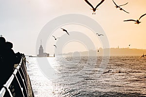 Seagulls flying in sky around the Maiden tower in Istanbul