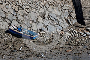 Seagulls on ground and small rowboat beside stone embankment in background