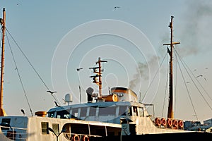 Seagulls on internal transportation ferry in istanbul bosphorus