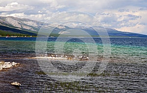 Seagulls on Khovsgol Lake photo