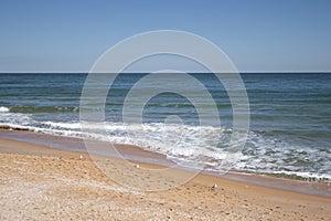 Seagulls are lounging on the beach.