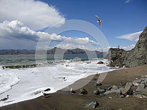 Seagulls on Mile Rock Beach