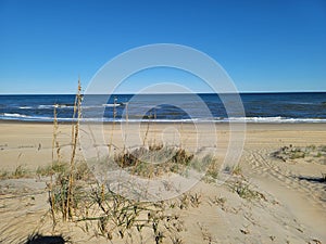 Seaoats Seagulls ocean beach fence ocean water salt life