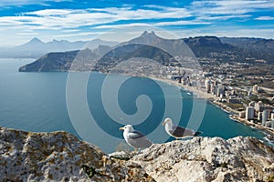 Seagulls at Penon de Ifach mountain in Mediterranean sea photo
