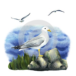 Seagulls rock and sea water elements composition. Hand drawn watercolor illustration isolated on white background. Sea