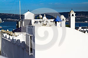 Seagulls on the rooftops of buildings in the Moroccan city of Tangier