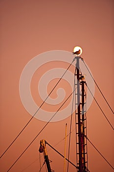 Seagulls on Ship's Mast