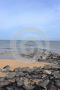 Seagulls on the shoreline at Barkby beach