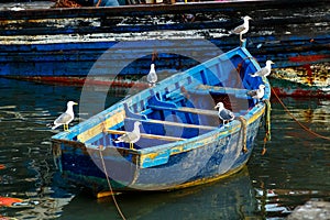 Gaviotas sentarse sobre el un barco 