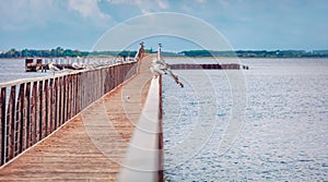 Seagulls sit on the railing of wooden bridge on Lesina lake, 22-km-long photo