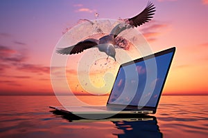 Seagulls Soaring in the Sky with Laptop Floating on the Sea