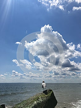 Seagulls during Sunny Day in August at Coney Island Beach in Brooklyn, New York, NY.